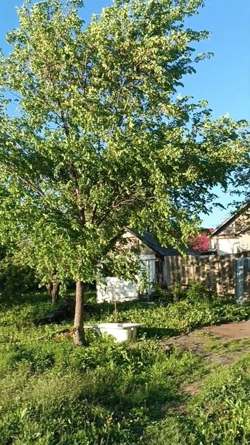 Ещё одно видео мая 2025😎