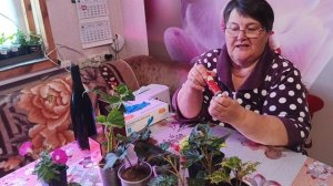 СНОВА СНЕГОПАД,У ЛАРИСЫ В ГОСТЯХ