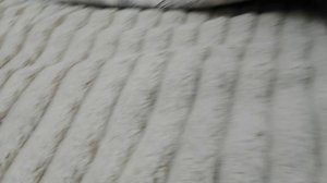 The lego show ep4 s1 : wrong place