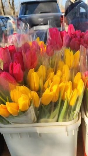 Рынок Кубани 8 Марта💐