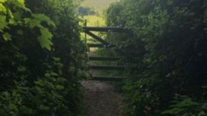 Кому сделать Эдит беру 3 человека?)