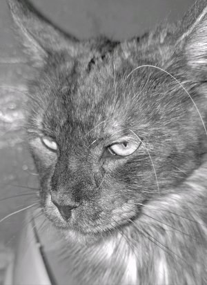 делаем мэйкап губ