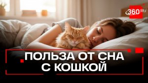 Можно ли спать с кошкой? Врачи назвали плюсы и риски