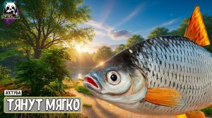 RF4 Они подходят и тянут очень мягко #рр4