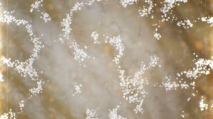 Quarantine Zone: The Last Check ВЫЖИВАНИЕ В ЗОНЕ КАРАНТИНА,НОВЫЙ ДЕНЬ ОСМОТРА