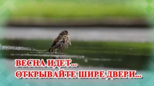 ВЕСНА  ИДЕТ...!!!ОТКРЫВАЙТЕ  ШИРЕ ДВЕРИ...!!!