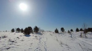 Прогулка по зимнему полю / Winter Field Walk 4K ASMR