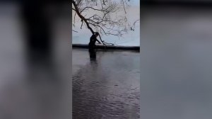 В поисках троих пропавших в Звенигороде подростков участвуют более 150 человек