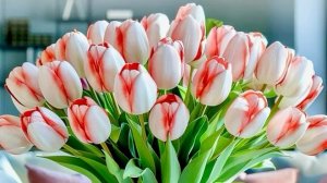 С праздником 8 марта,всех прекрасных дам. С добрым праздничным утром. Красивая музыкальная открытка.