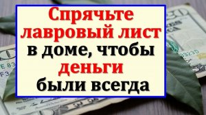 Лавр - магнит для денег! Куда спрятать лавровый лист в доме, чтобы достаток не переводился никогда