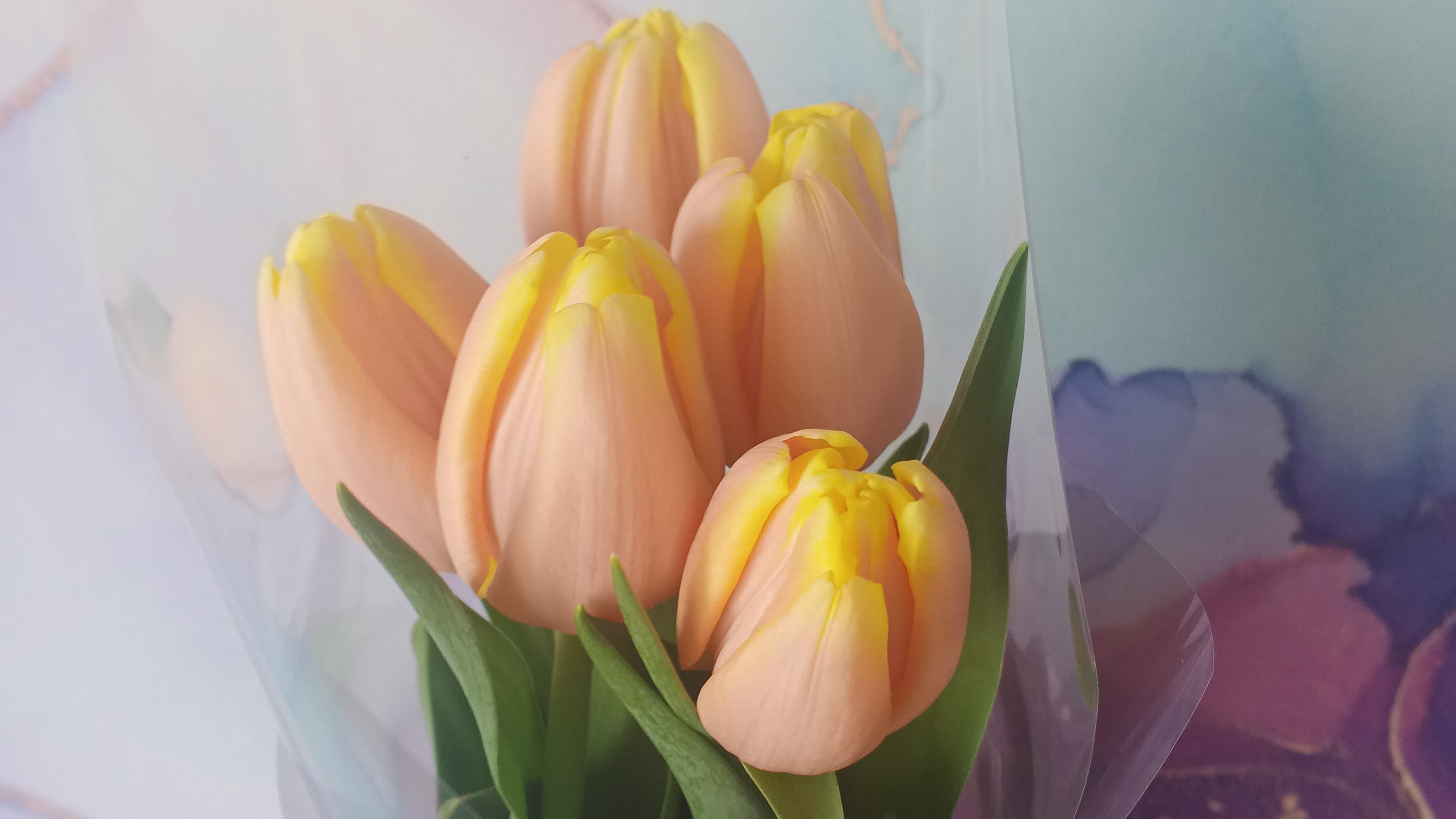 у меня в гостях