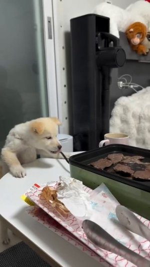 Какое вкусное тут у вас ароматство!