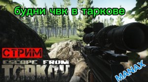 тарков пвп