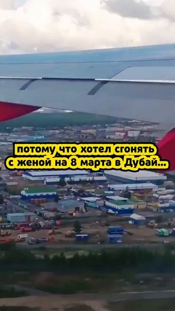 Когда из-за дурацкого Трампа придётся покупать тюльпаны