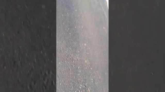 гулькаем сново