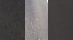 гулькаем сново