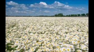 ОЧЕНЬ КРАСИВЫЕ И НЕВЕРОЯЯТНО СКАЗОЧНЫЕ ПЕЙЗАЖИ ПРИРОДЫ (ЛЕТО)