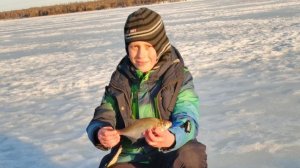 зимняя рыбалка. ловим подлещика и плотву на коромысло.