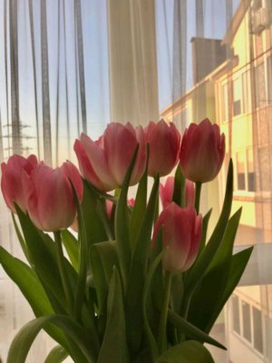 ЗАНИМАЕМСЯ ФИГНЁЙ🤣