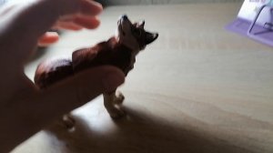 VID_20260308_102748.mp4