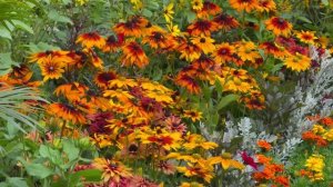 МУЗЫКА ДЛЯ ОТДЫХА