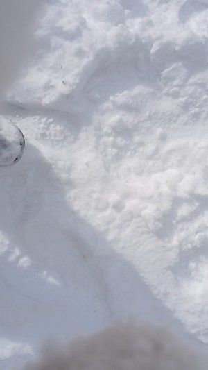 влог прогулка с 3д ящерица 🦎🌸💗