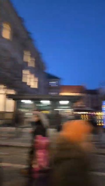 Вильнюс 7 марта ярмарка