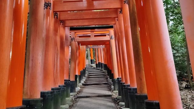 Япония. Киото. Храм Инари, верхний уровень.