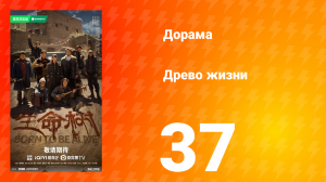Древо жизни 37 серия