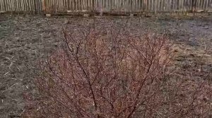 Видео_от_ДРАКОН888_9