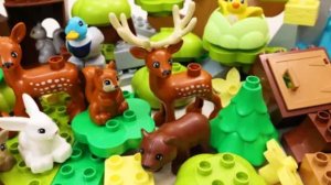 Конструктор Лего с разными зверюшками, делают себе новый домик. Видеодлядетей. #дети #видеодлядетей