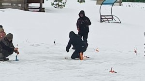 VID_20260308_110500_275