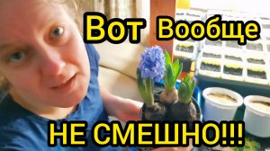 ВОТ ВООБЩЕ НЕ СМЕШНО | Жизнь простых людей | Дом в деревне | Деревенские будни