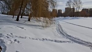 23 февраля 2026 идем на Северный речной вокзал из Тушино