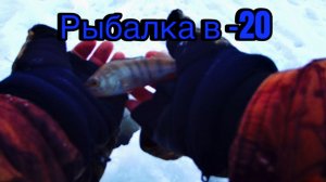 ЗИМНЯЯ РЫБАЛКА В МОРОЗ | РЫБАЛКА НА МОРМЫШКУ