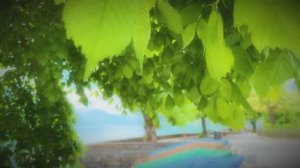 Жизнь в сельской местности Швейцарии - Расслабляющая прогулка по самым красивым швейцарским деревням