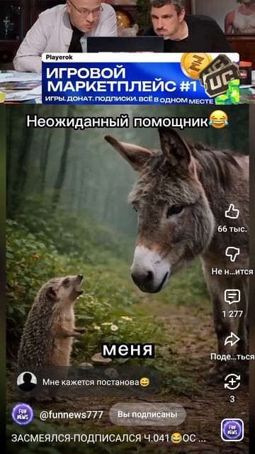 типичный осёл
