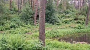 Алтайский велопоход