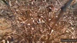 Проект_04-06(1)_Full_HD_1080p_MEDIUM_FR30.mp4