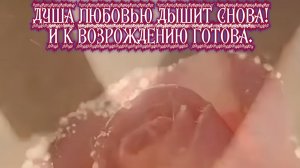 Душа Любовью дышит снова!  И к возрождению готова. Премьера песни!