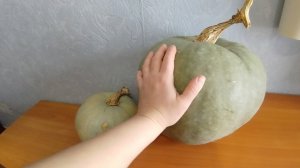 08-03-2026 А у вас тоже планы часто меняются?