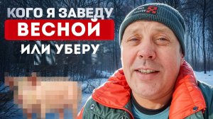 ПЕРЕЗАГРУЗКА: Эти животные уходят, эти приходят. Мои планы на год