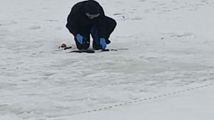 VID_20260308_095432_633