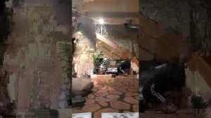 вечерний стрим