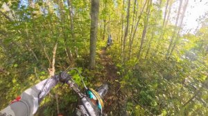 SOSNOVOPRO Шустрая белка 2025 2 этап 2 день Одна ошибка и Ты ошибся)