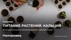 5 сезон 10 семинар. Питание растений. Кальций