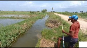 Такой маленький ручей,а рыбка ЕСТЬ.Сошел СОМ хорошего размера..