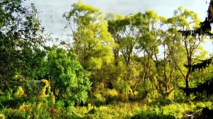 Осенняя свежесть