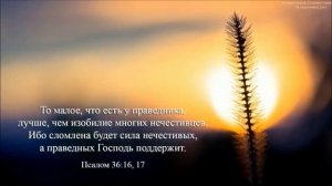 TOP Христианские Песни