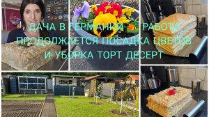 VLOG 🇩🇪 ТОТ САМЫЙ ТОРТ🎂 ИЗ МОЕГО ДЕТСТВА/Торт Наполеон Самый Быстрый Рецепт/Дачные Работы 🏕